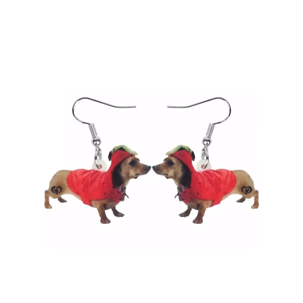 FREE SHIPPING | Double-Sided Acrylic Dangle Earrings NWT